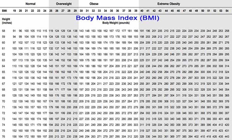body mass index calculator pounds